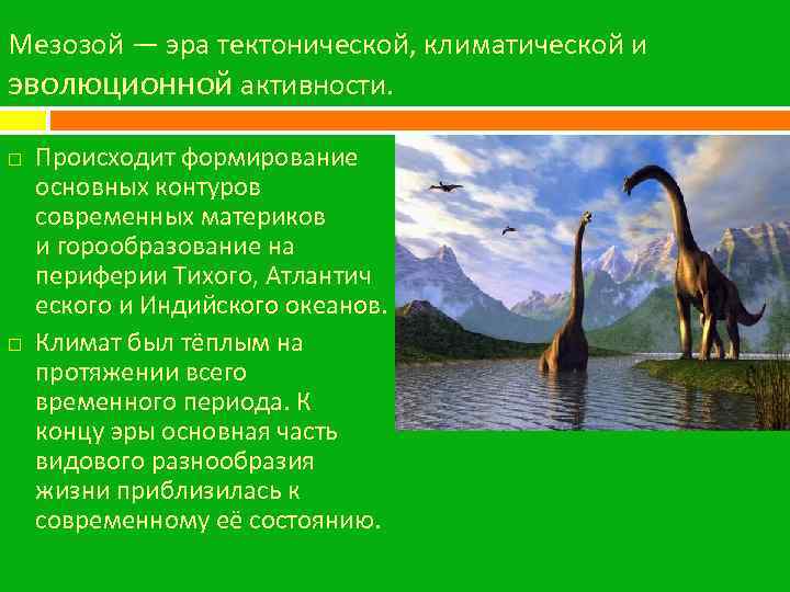 Мезозой — эра тектонической, климатической и эволюционной активности. Происходит формирование основных контуров современных материков