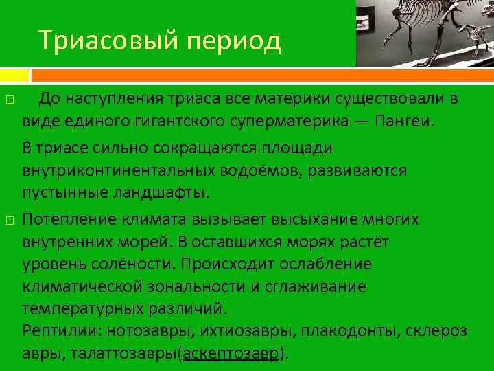 Триасовый период До наступления триаса все материки существовали в виде единого гигантского суперматерика —