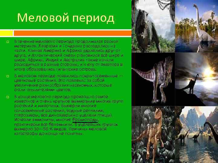 Меловой период В течение мелового периода продолжался раскол материков. Лавразия и Гондвана распадались на