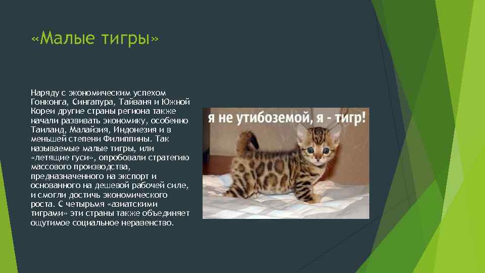  «Малые тигры» Наряду с экономическим успехом Гонконга, Сингапура, Тайваня и Южной Кореи другие