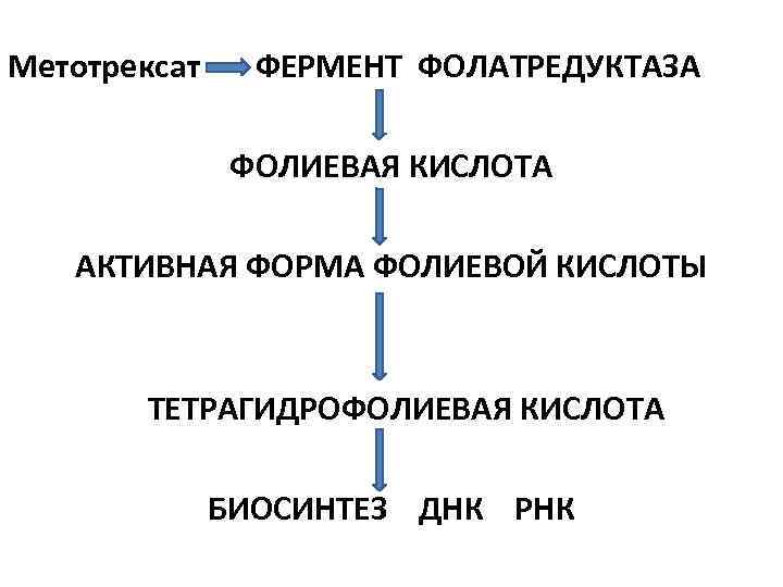 Метотрексат ФЕРМЕНТ ФОЛАТРЕДУКТАЗА ФОЛИЕВАЯ КИСЛОТА АКТИВНАЯ ФОРМА ФОЛИЕВОЙ КИСЛОТЫ ТЕТРАГИДРОФОЛИЕВАЯ КИСЛОТА БИОСИНТЕЗ ДНК РНК