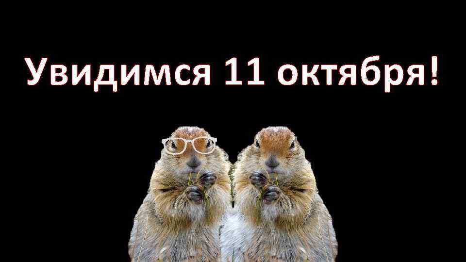 Увидимся 11 октября! 