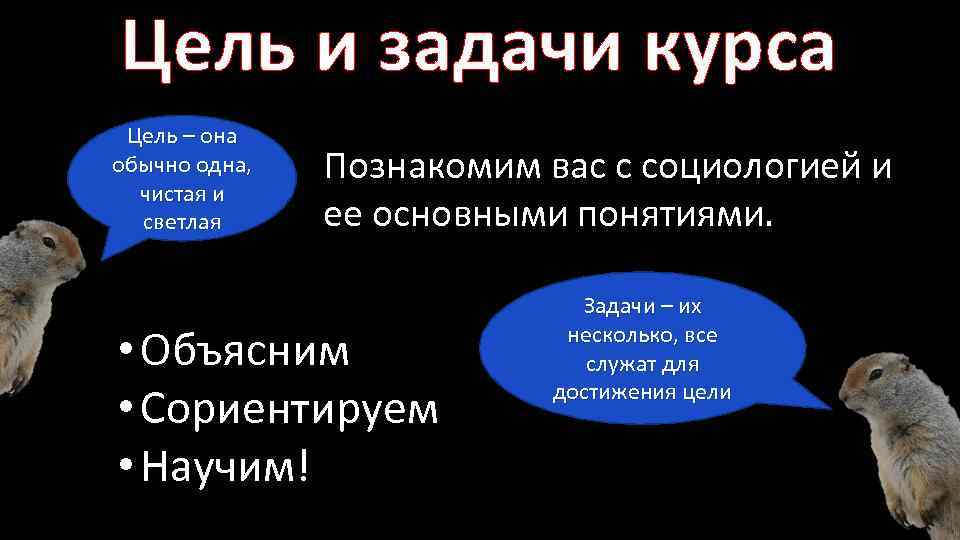 Цель и задачи курса Цель – она обычно одна, чистая и светлая Познакомим вас