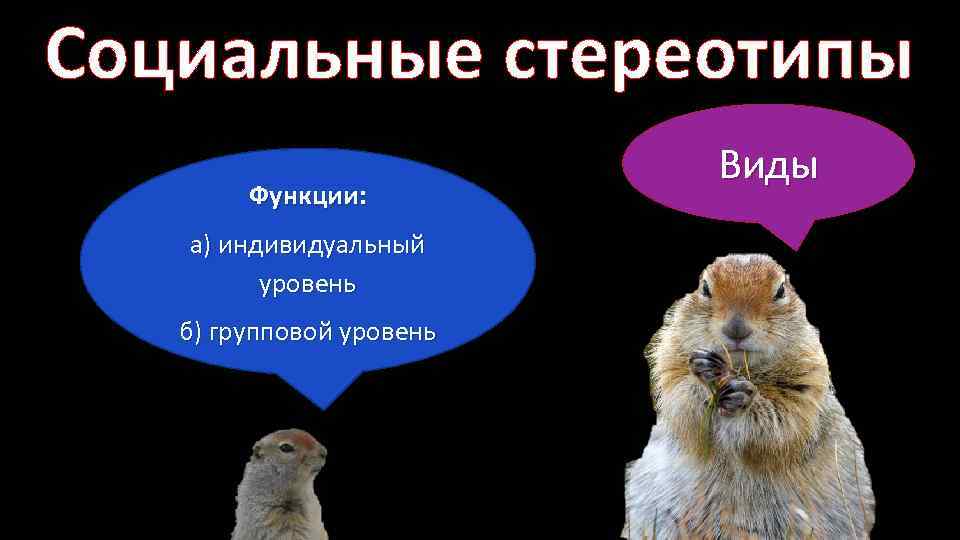 Социальные стереотипы Функции: а) индивидуальный уровень б) групповой уровень Виды 