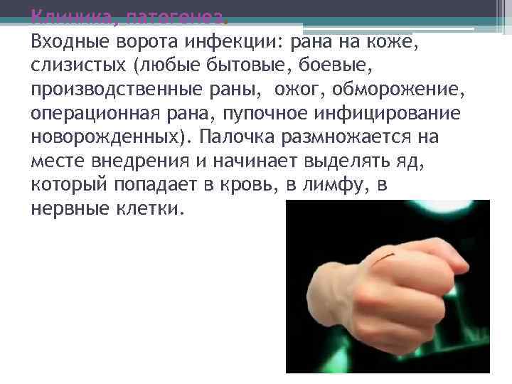 Клиника, патогенез. Входные ворота инфекции: рана на коже, слизистых (любые бытовые, боевые, производственные раны,