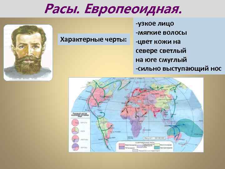 Расы. Европеоидная. Характерные черты: -узкое лицо -мягкие волосы -цвет кожи на севере светлый на