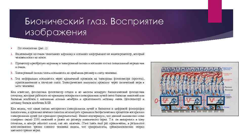 Бионический глаз. Восприятие изображения § По технологии (рис. 2): 1. Видеокамера на очках записывает