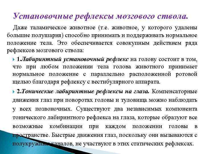 Установочные рефлексы мозгового ствола. Даже таламическое животное (т. е. животное, у которого удалены большие