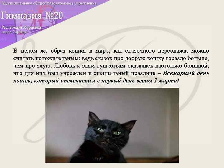 В целом же образ кошки в мире, как сказочного персонажа, можно считать положительным: ведь