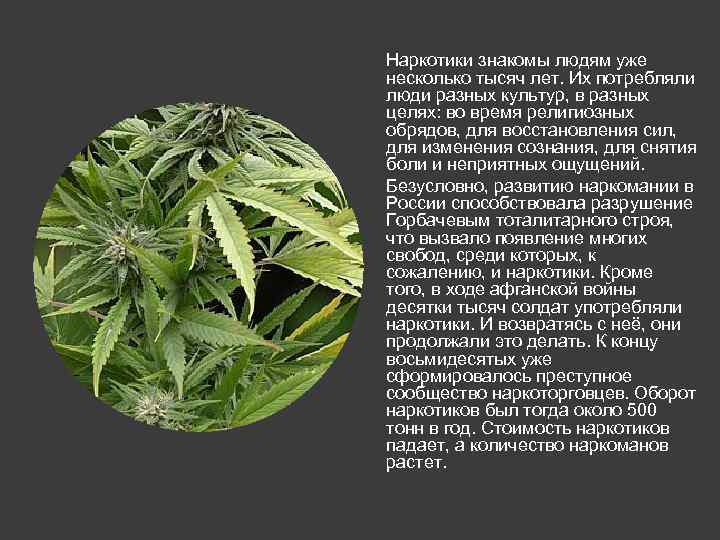 Наркотики знакомы людям уже несколько тысяч лет. Их потребляли люди разных культур, в разных