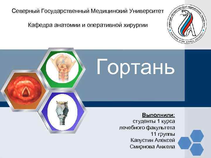 Северный Государственный Медицинский Университет Кафедра анатомии и оперативной хирургии Гортань Выполнили: студенты 1 курса