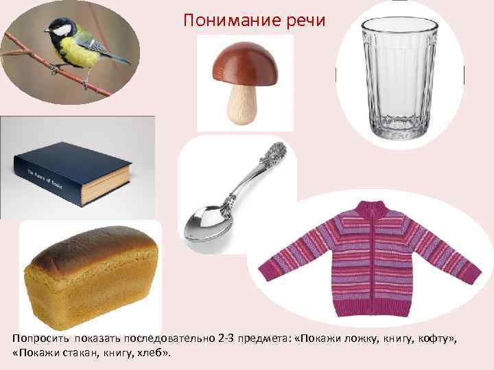  Понимание речи Попросить показать последовательно 2 -3 предмета: «Покажи ложку, книгу, кофту» ,
