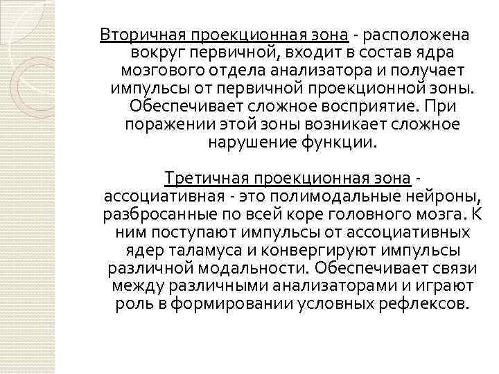 Вторичная проекционная зона расположена вокруг первичной, входит в состав ядра мозгового отдела анализатора и