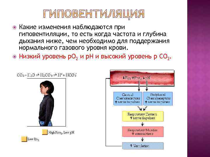 Какие изменения наблюдаются. Изменения при гиповентиляции. При гиповентиляции легких наблюдается. Какие изменения происходят при гиповентиляции. Гиповентиляция схема.