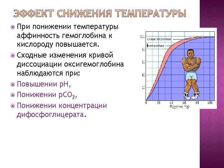 При понижении температуры аффинность гемоглобина к кислороду повышается. Сходные изменения кривой диссоциации оксигемоглобина наблюдаются