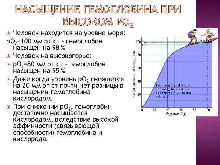 Человек находится на уровне моря: р. О 2=100 мм рт ст – гнмоглобин насыщен