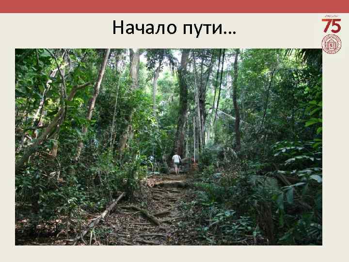Начало пути… 