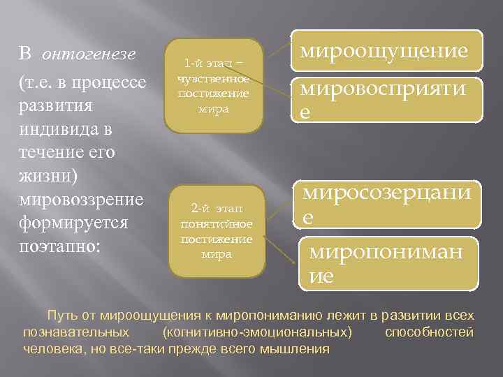 В онтогенезе (т. е. в процессе развития индивида в течение его жизни) мировоззрение формируется