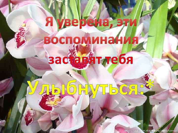 Я уверена, эти воспоминания заставят тебя Улыбнуться: * 