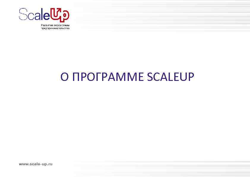 О ПРОГРАММЕ SCALEUP 