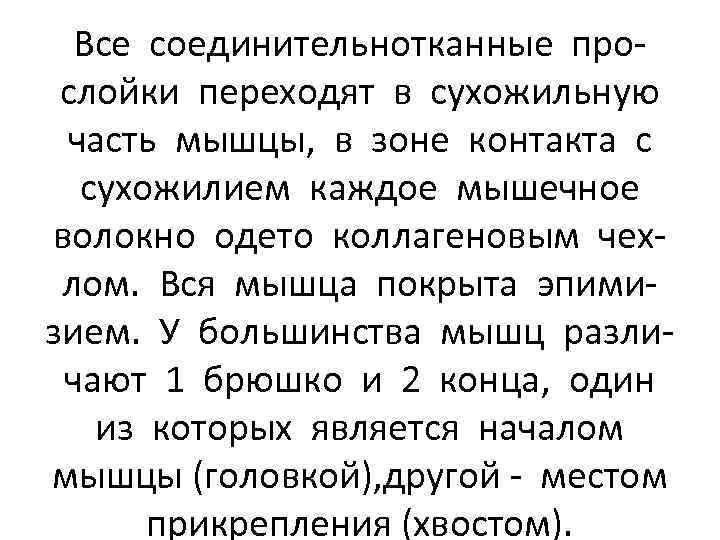 Все соединительнотканные прослойки переходят в сухожильную часть мышцы, в зоне контакта с сухожилием каждое