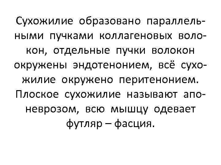 Сухожилие образовано параллельными пучками коллагеновых волокон, отдельные пучки волокон окружены эндотенонием, всё сухожилие окружено