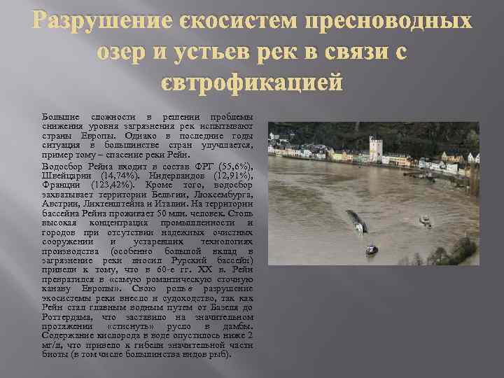 Разрушение экосистем пресноводных озер и устьев рек в связи с эвтрофикацией Большие сложности в