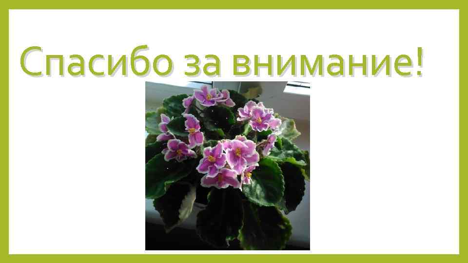 Спасибо за внимание! 