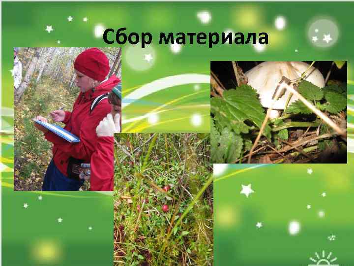  Сбор материала 