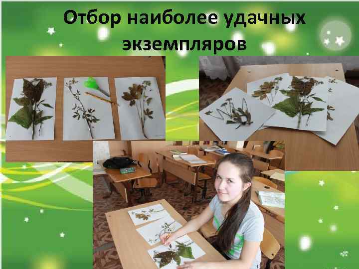 Отбор наиболее удачных экземпляров 