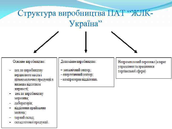 Структура виробництва ПАТ “ЖЛКУкраїна” 