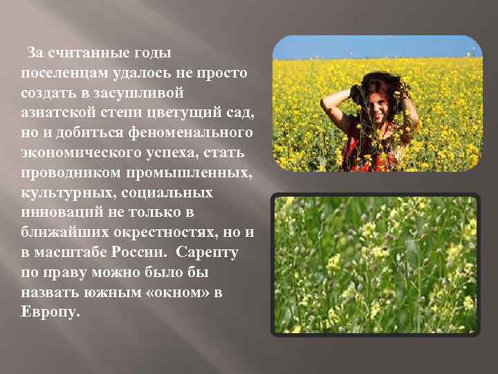  За считанные годы поселенцам удалось не просто создать в засушливой азиатской степи цветущий