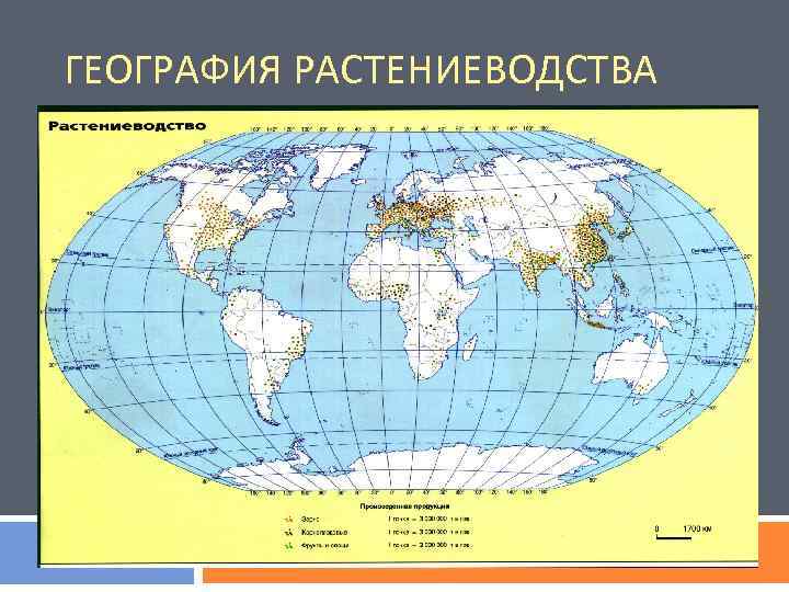ГЕОГРАФИЯ РАСТЕНИЕВОДСТВА 