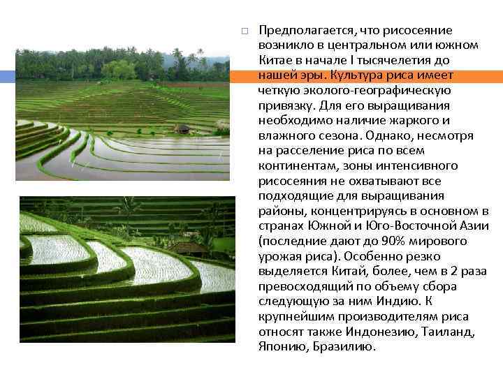  Предполагается, что рисосеяние возникло в центральном или южном Китае в начале I тысячелетия