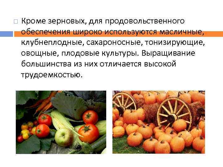  Кроме зерновых, для продовольственного обеспечения широко используются масличные, клубнеплодные, сахароносные, тонизирующие, овощные, плодовые