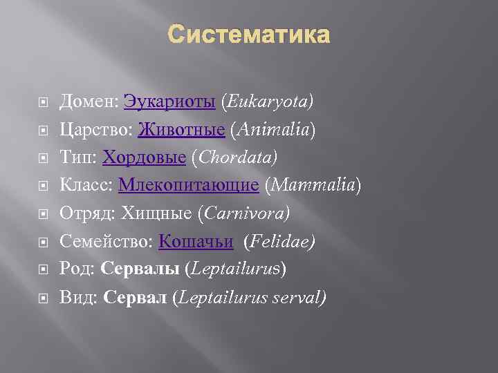 Систематика Домен: Эукариоты (Eukaryota) Царство: Животные (Animalia) Тип: Хордовые (Chordata) Класс: Млекопитающие (Mammalia) Отряд: