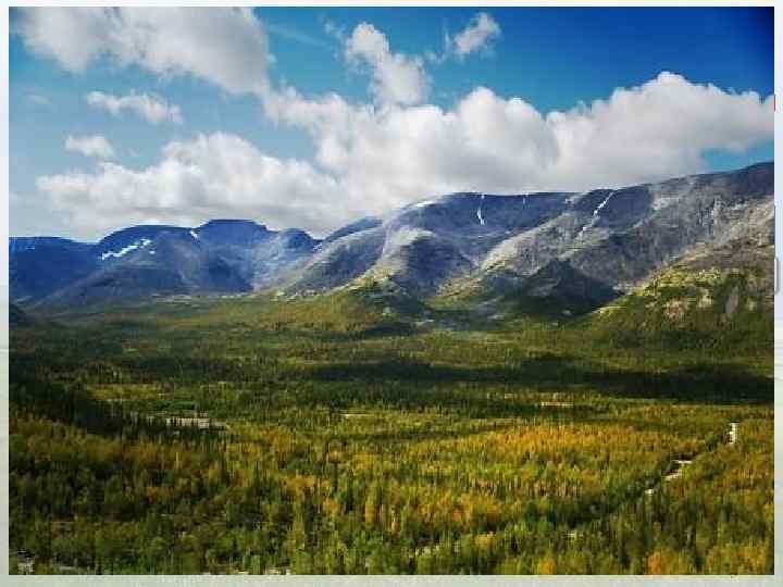 В основе Русской равнины лежит древняя Русская платформа. Фундамент платформы имеет неровную поверхность с