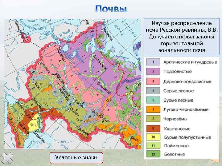 Изучая распределение почв Русской равнины, В. В. Докучаев открыл законы горизонтальной зональности почв При