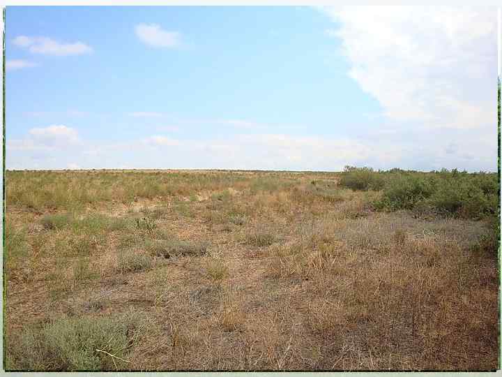 Тундра Лесотундра Тайга Смешанные леса Широколист венные леса Лесостепь Степь Полупустыни Особенности рельефа и