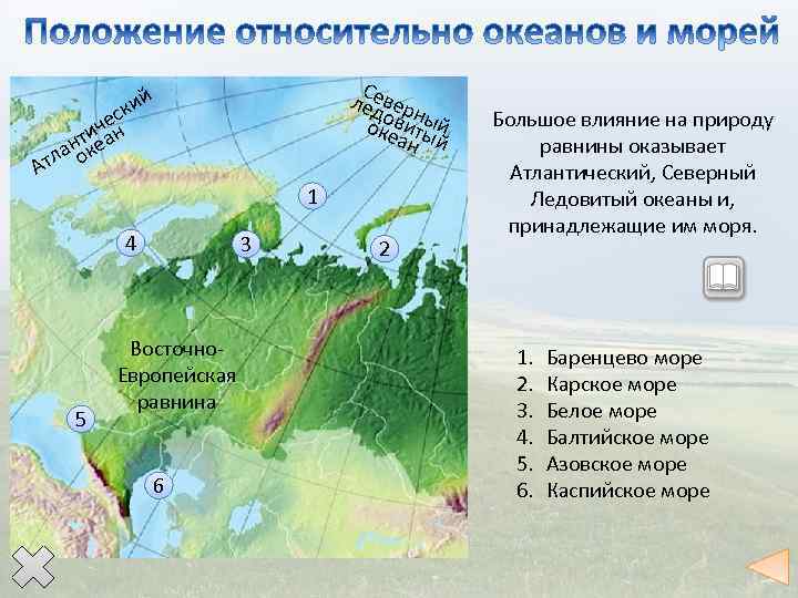 Се ледвер ны оковиты й еан й ий к ес ч тиеан н тла