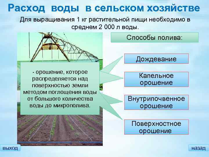 Расход воды в сельском хозяйстве Для выращивания 1 кг растительной пищи необходимо в среднем