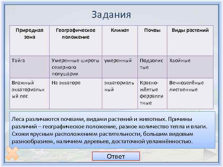 Задания Природная зона Тайга Влажный экваториальн Влажный ый лес экваториальн ый лес Географическое положение