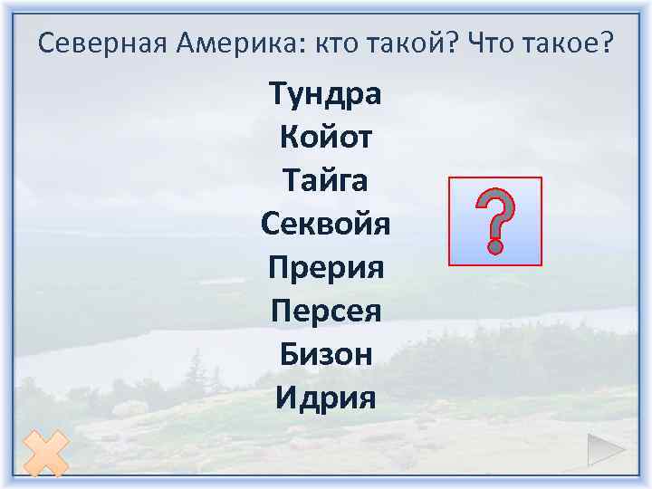 Северная Америка: кто такой? Что такое? Тундра Койот Тайга Секвойя Прерия Персея Бизон Идрия