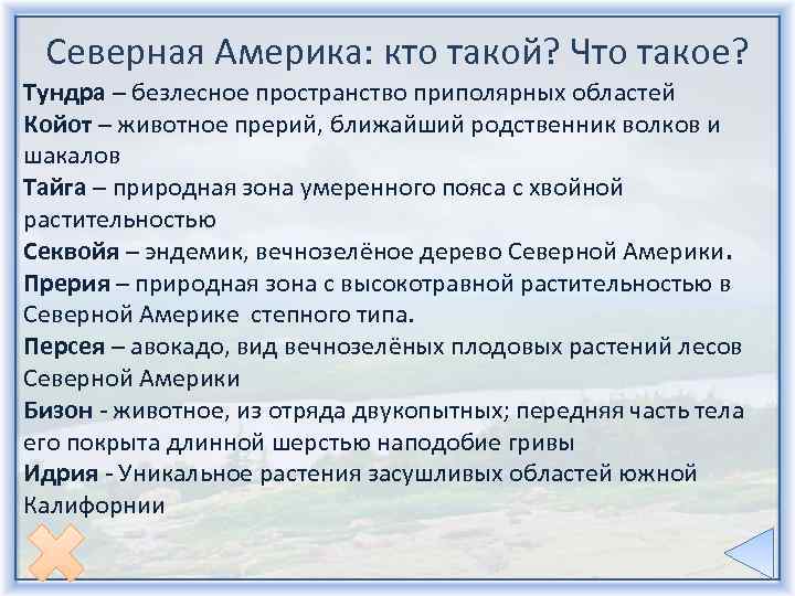 Северная Америка: кто такой? Что такое? Тундра – безлесное пространство приполярных областей Койот –