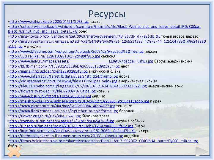 Ресурсы • http: //www. stihi. ru/pics/2008/04/21/3083. jpg каштан • http: //upload. wikimedia. org/wikipedia/commons/thumb/d/de/Black_Walnut_and_leave_detail. JPG/800