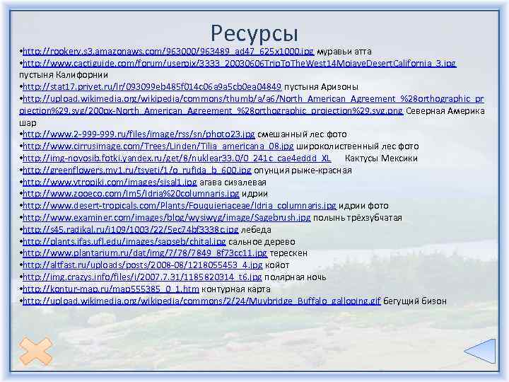 Ресурсы • http: //rookery. s 3. amazonaws. com/963000/963489_ad 47_625 x 1000. jpg муравьи атта