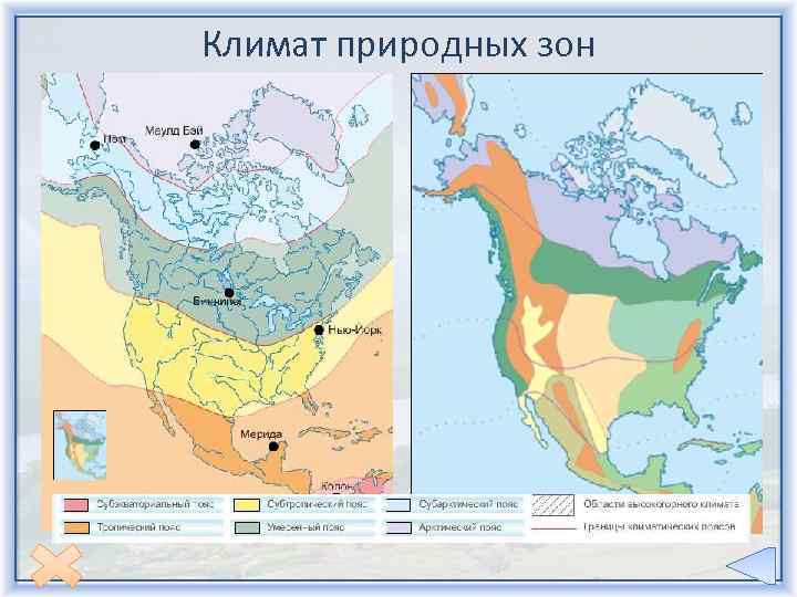 План характеристики природной зоны северная америка