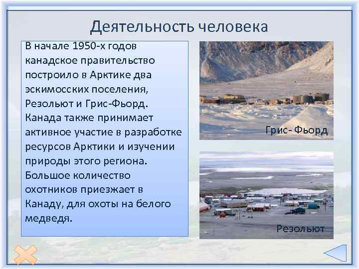 Деятельность человека В начале 1950 -х годов канадское правительство построило в Арктике два эскимосских