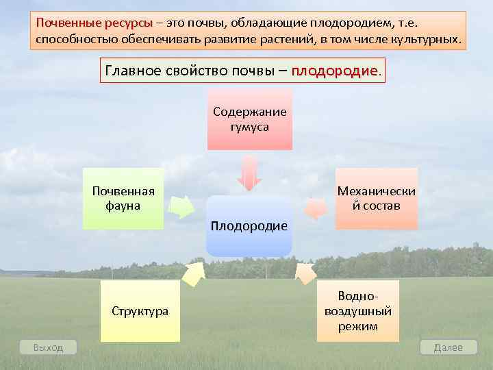 Регионы россии по степени уменьшения естественного плодородия. Почвенные ресурсы. Карта плодородия почв.