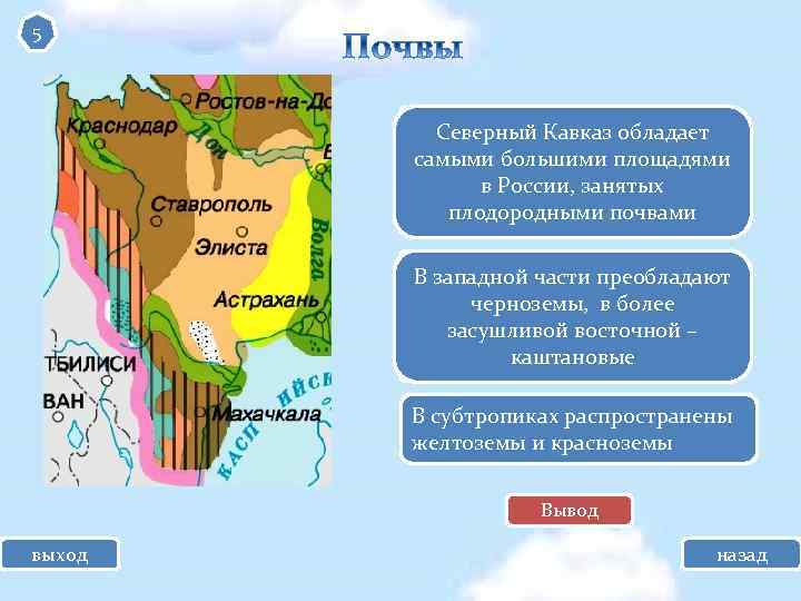 5 черноземы Северный Кавказ обладает самыми большими площадями каштановые в России, занятых плодородными почвами